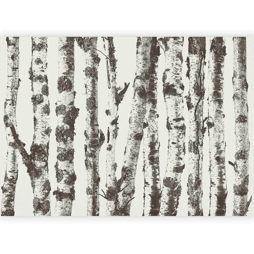 Artgeist Fototapeta Stately Birches, 250x175cm Cene