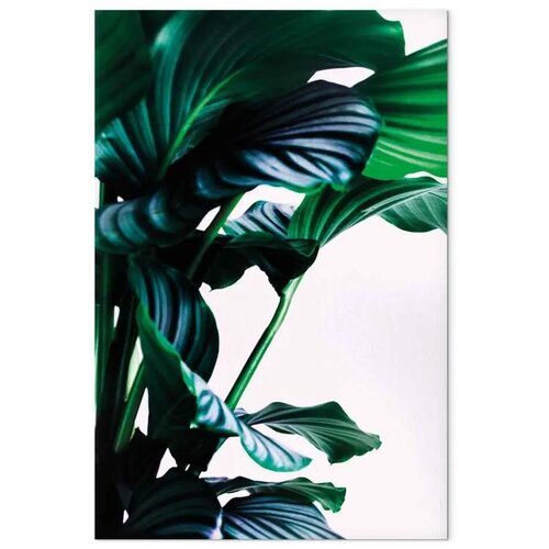  Slika - Springy Leaves (1 Part) Vertical 60x90 Slike