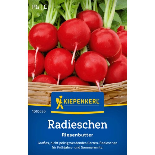 KIEPENKERL Radič "orjaški cvetovi" - 1 pkt. Cene