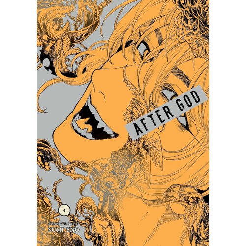 Harper Collins Publishers Ltd Sumi Eno - After God, Vol. 4 Cene