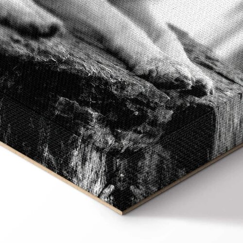  Slika - Forest Love (1 Part) Vertical 60x90 Akustična Slike