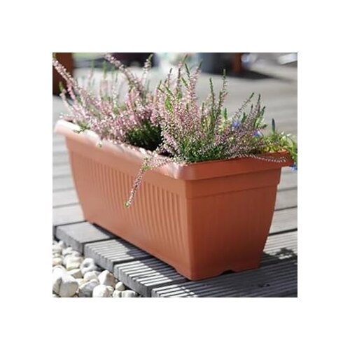 Prosperplast Saksija Terra T800, Terakota Slike