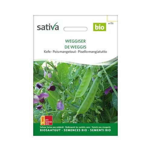 Sativa Bio sladkorni grah “Weggiser”