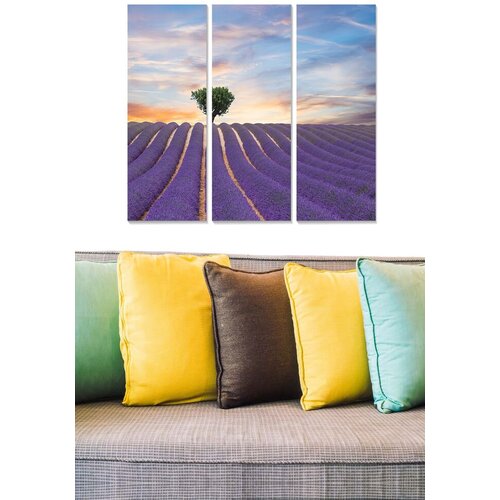 Wallity Set slika MDF457535692, 3 dijela Cene