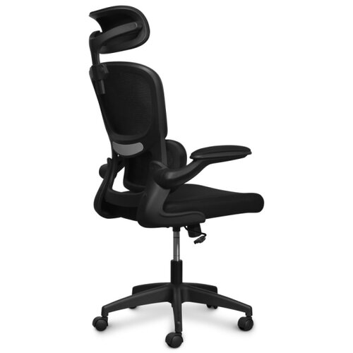 Connect IT COC-2500-BK - Kancelarijska stolica ForHealth DeltaPro crna Slike