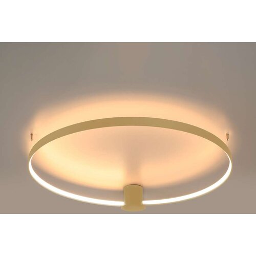  Thoro TH.222 - LED plafonsko svetlo RIO LED/21W/230V CRI98 3000K prečnik 55 cm zlatna Slike