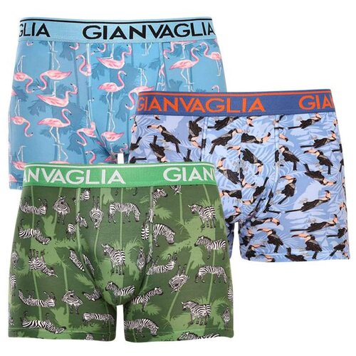 Gianvaglia 3PACK men's boxers multicolor (GVG-5501) Slike