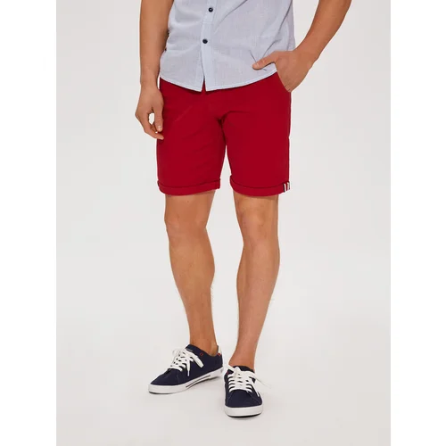 Diverse Men's shorts BERBET VII