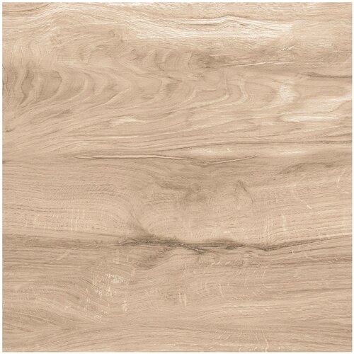 Ocean Gres ploščica Asia Wood (60 x 60 cm, rjava, posteklena, sijaj) Cene