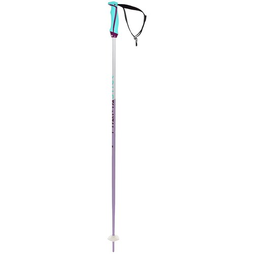 Völkl Phantastick 110 2023 Smucarske palice purple Cene