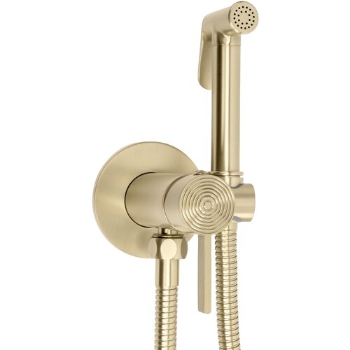 Rea Bide armatura Foster Brush Gold Cene