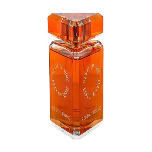 State Of Mind Aesthetic Turbulence 100 ml parfumska voda unisex Slike