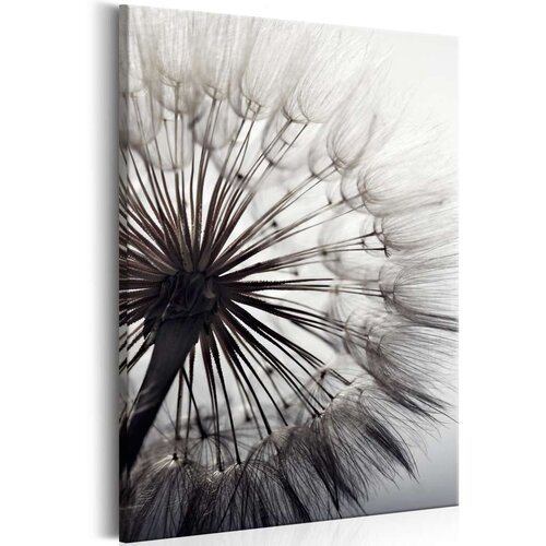  Slika - Pure Delicacy 40x60 Cijene