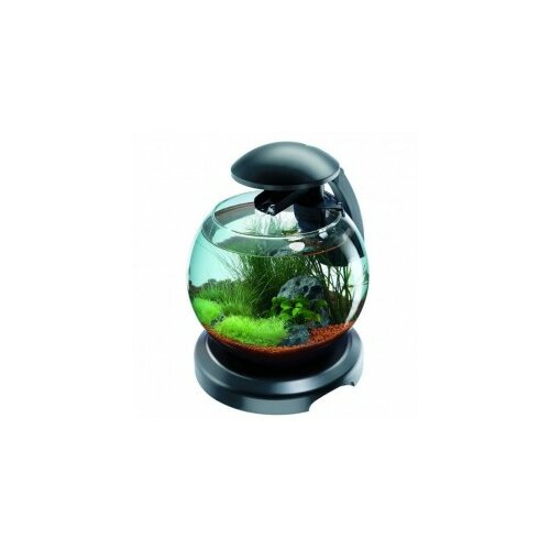 Tetra Akvarijum Globe Crni 6,8 l Cene