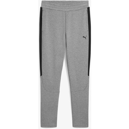 Puma Donji dio trenerke EVOSTRIPE CORE Pants Cijene