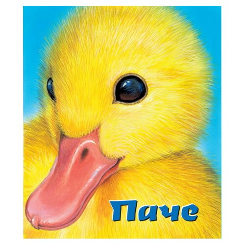 Vulkan Izdava&amp;scaron;tvo Grupa autora
 - Pače Slike