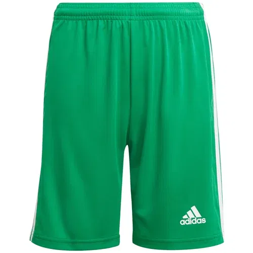 Adidas Sportske hlače 'Squadra 21' zelena / bijela