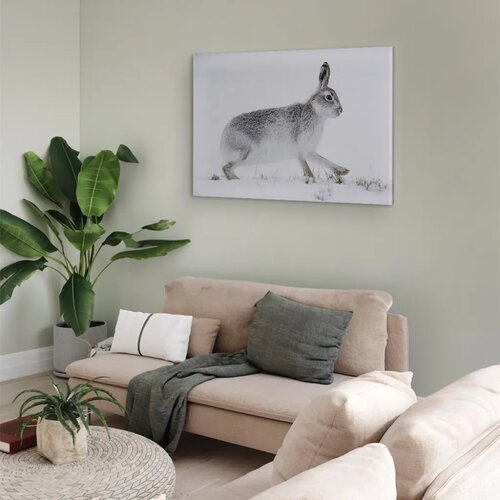  Slika - Hare (1 Part) Wide 60x40 Akustična Slike