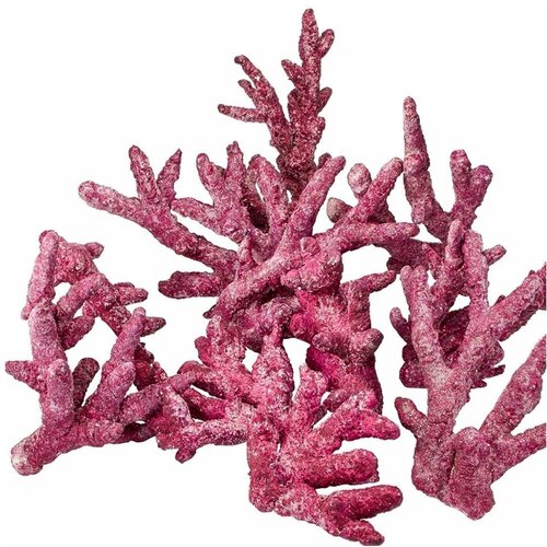 Prirodni Kamen Natural reef rock - Branch rock Slike