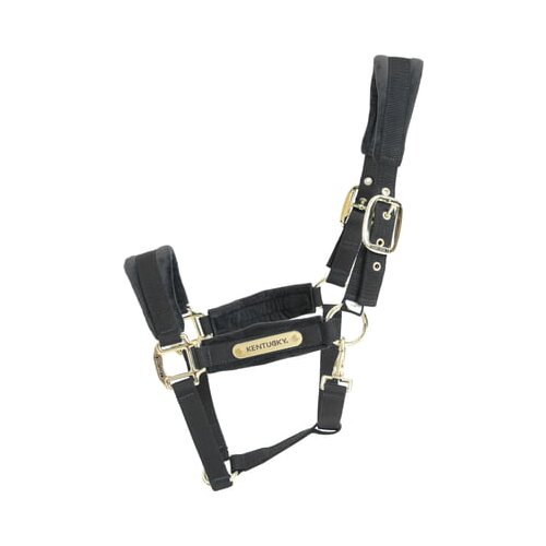 Kentucky Horsewear Oglavka Velvet, črna - Full Cene