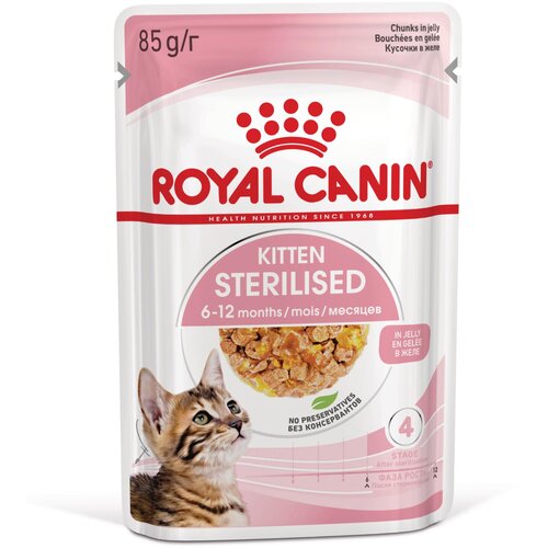Royal Canin FHN Sterilized Kitten u želeu - 12 x 85 g Slike