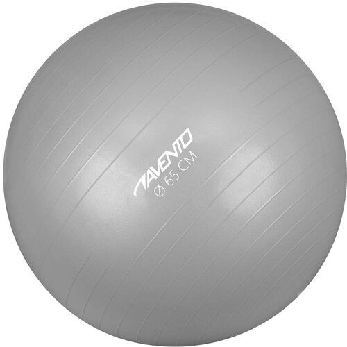 Avento Fitnes žoga / gimnastična žoga premer 65 cm srebrna, (20989053) Cene