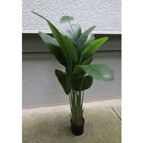 Lilium banana 1x3 sa 12 listova, 165 cm,567386 Cene