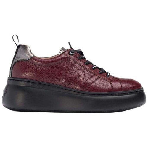 Wonders Nizke superge Dorita Bordo Slike