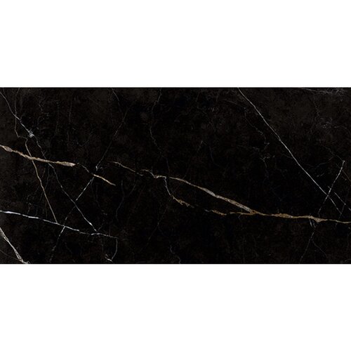 Vitacer essenza black pulido 59x119cm Slike