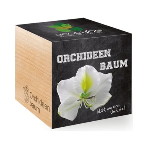 Feel Green ecocube &amp;quot;drevo orhideje&amp;quot; Slike