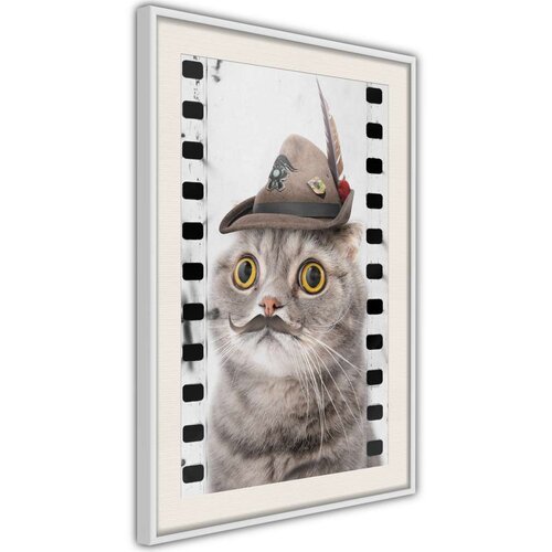  Poster - Dressed Up Cat 20x30 Slike