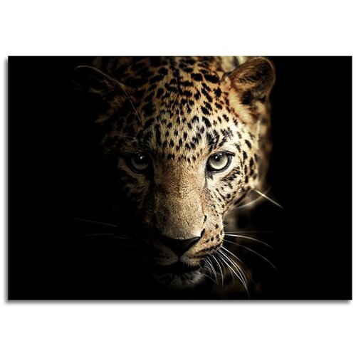 Styler Steklena slika Styler Leopard, 70 x 100 cm Slike