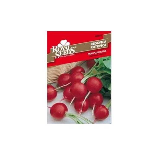  Rotkvica Saxa/Non+Ultra Royal Seeds Cijene