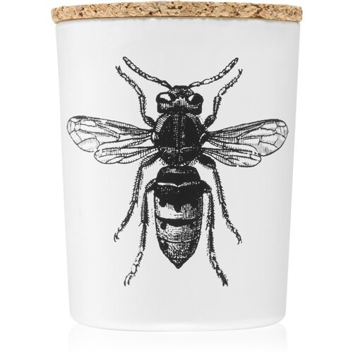Vila Hermanos Insect Calabrone mirisna svijeća 75 g Cijene