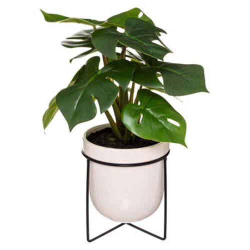 UMJETNA BILJKA MONSTERA U POSUDI ATMOSPHERA Slike