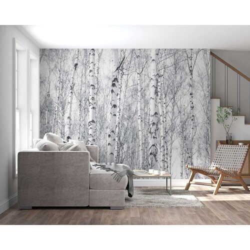 Wallity Tapete za zid MDK-00122, 400x270 cm, Šarena Cene