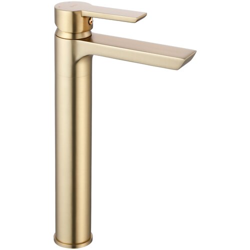 Rea ARGUS Mešalnik za umivalnik GOLD BRUSH High Cene