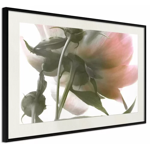  Poster - Under the Flower 45x30