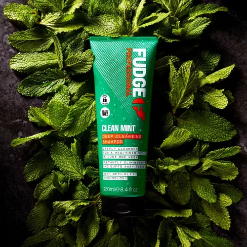 Fudge Clean Mint Shampoo šampon za mastne lase 250 ml