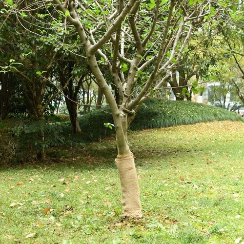  Rola jute 0 5x15 m 100 % juta 200 g/m&amp;sup2; Slike
