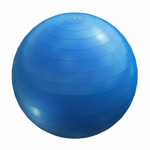Lopta za pilates (55 cm / Plava) Cene