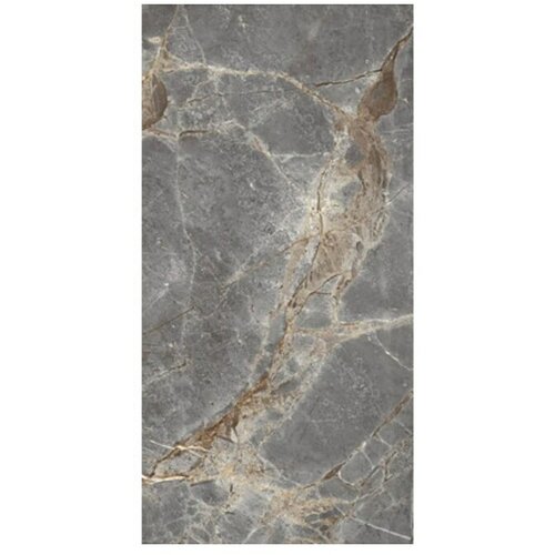  Pločica od prirodnog kamena Empero Classico grigio (60 x 120 cm, Siva, smeđa, bijela, Sjaj) Slike