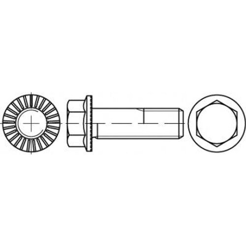 Toolcraft TO-5444499 vijak s šesterokutnom glavom M8 40 mm vanjski šesterokutni 88913 200 St. Cene