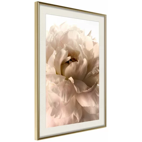  Poster - Bloom 40x60