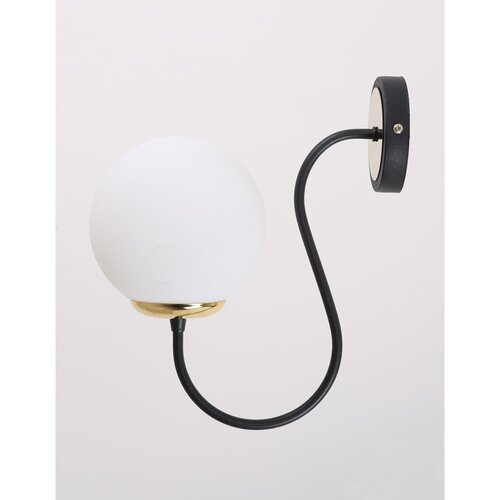 Squid Lighting Črna/bela stenska svetilka &amp;oslash; 15 cm Oslo &amp;ndash; Slike
