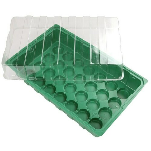 Flora World Sobni staklenik (D x &amp;Scaron; x V: 35,5 x 22 x 12,5 cm, Zelene boje, S 28 udubljenja) Slike