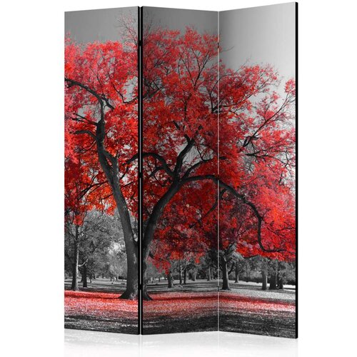  Paravan u 3 dijela - Autumn in the Park [Room Dividers] 135x172 Slike