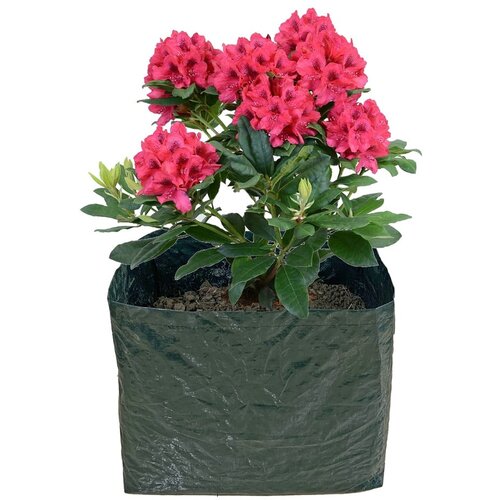 Garden Pleasure Podignuti krevet - Cijene