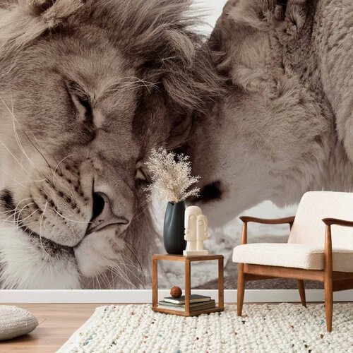  Foto tapeta - Lion Tenderness (Sepia) 150x105 Premium Cijene