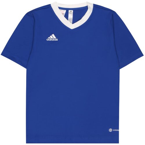 Adidas Funkcionalna majica 'Entrada 22' kraljevo modra / bela Cene